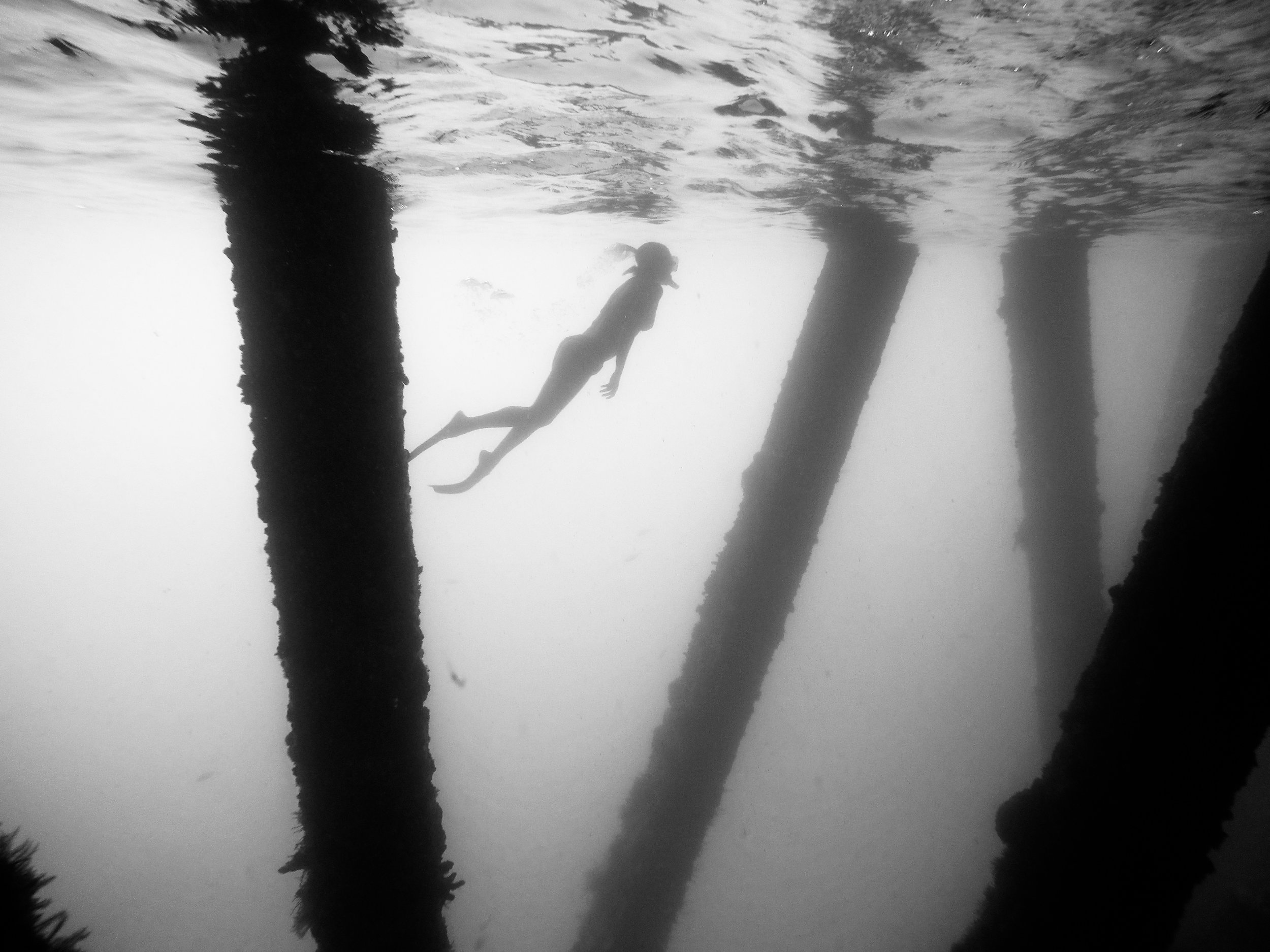 Puerto Rico Snorkle - Devin Feil