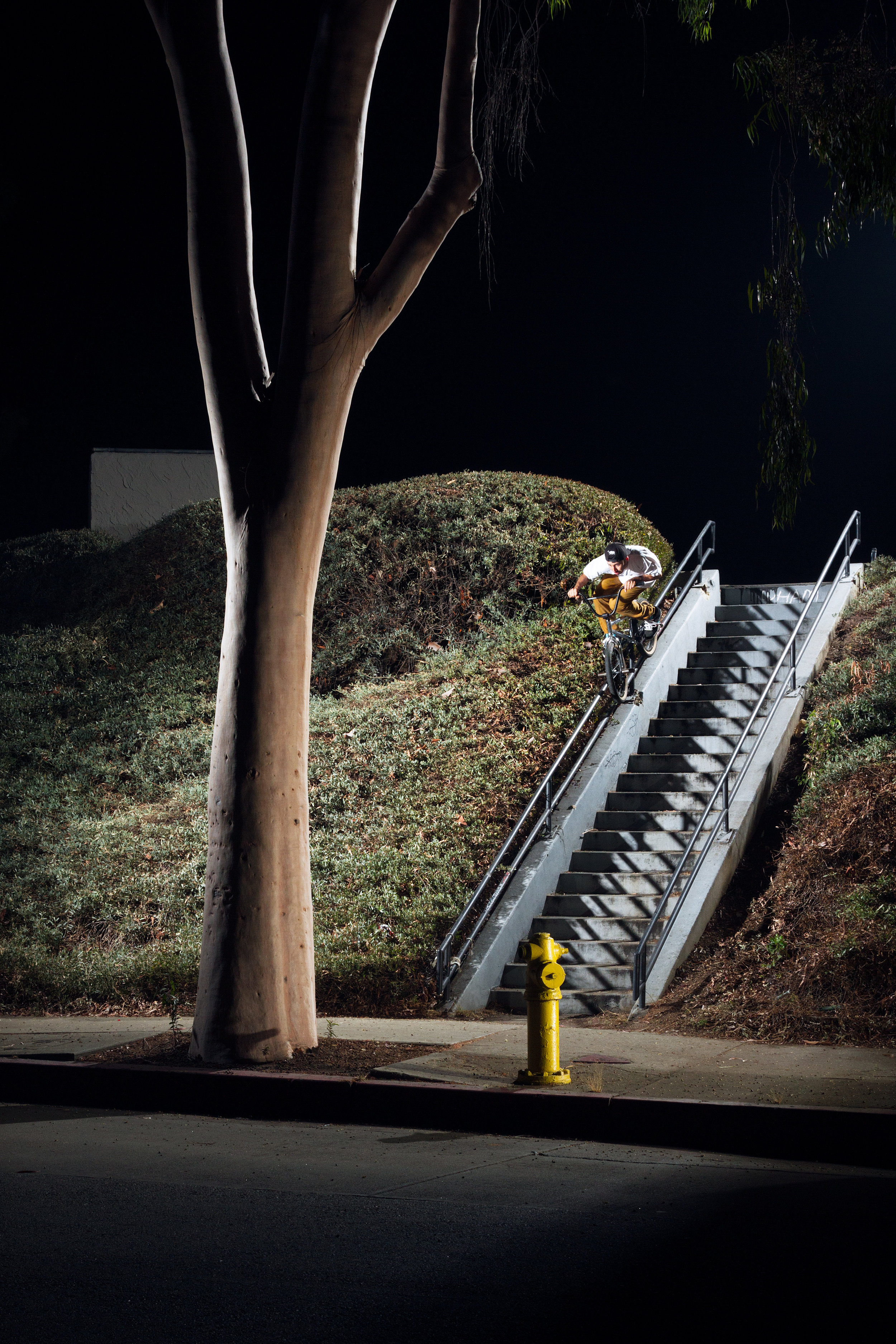 Daniel-Martinez-BMX-Rail-Tree-Devin-Feil.jpg