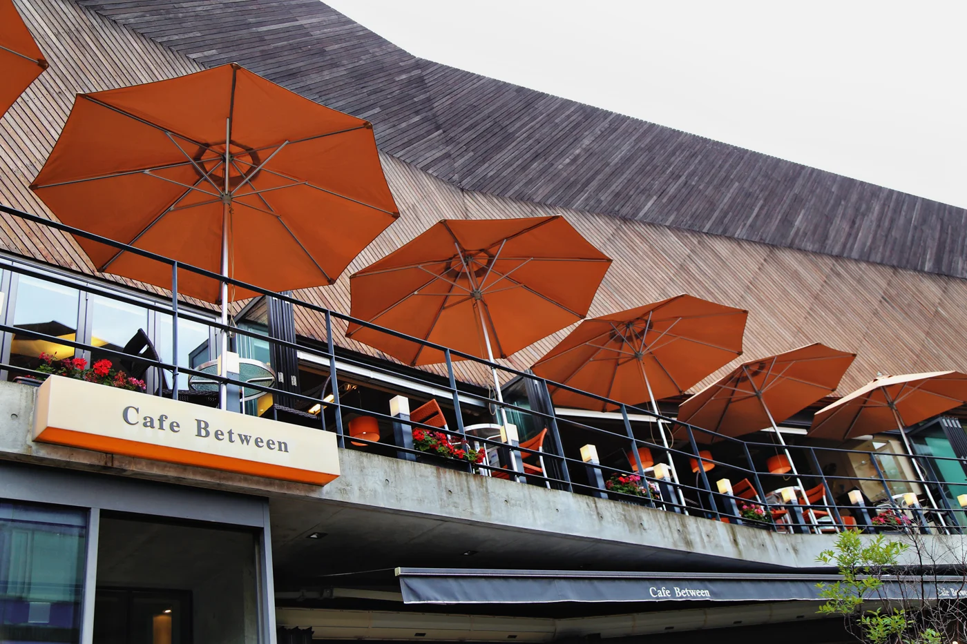 HeyriArtVillage06.jpg