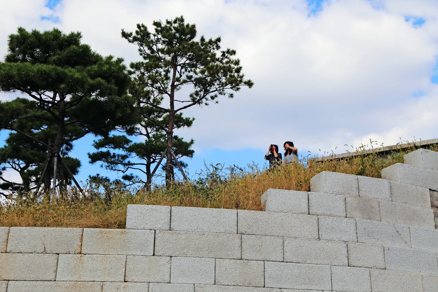 wwim10seoul14.jpg