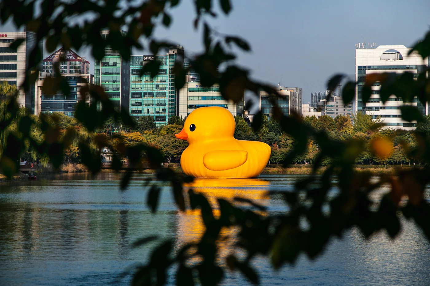 RubberDuckProject04.jpg