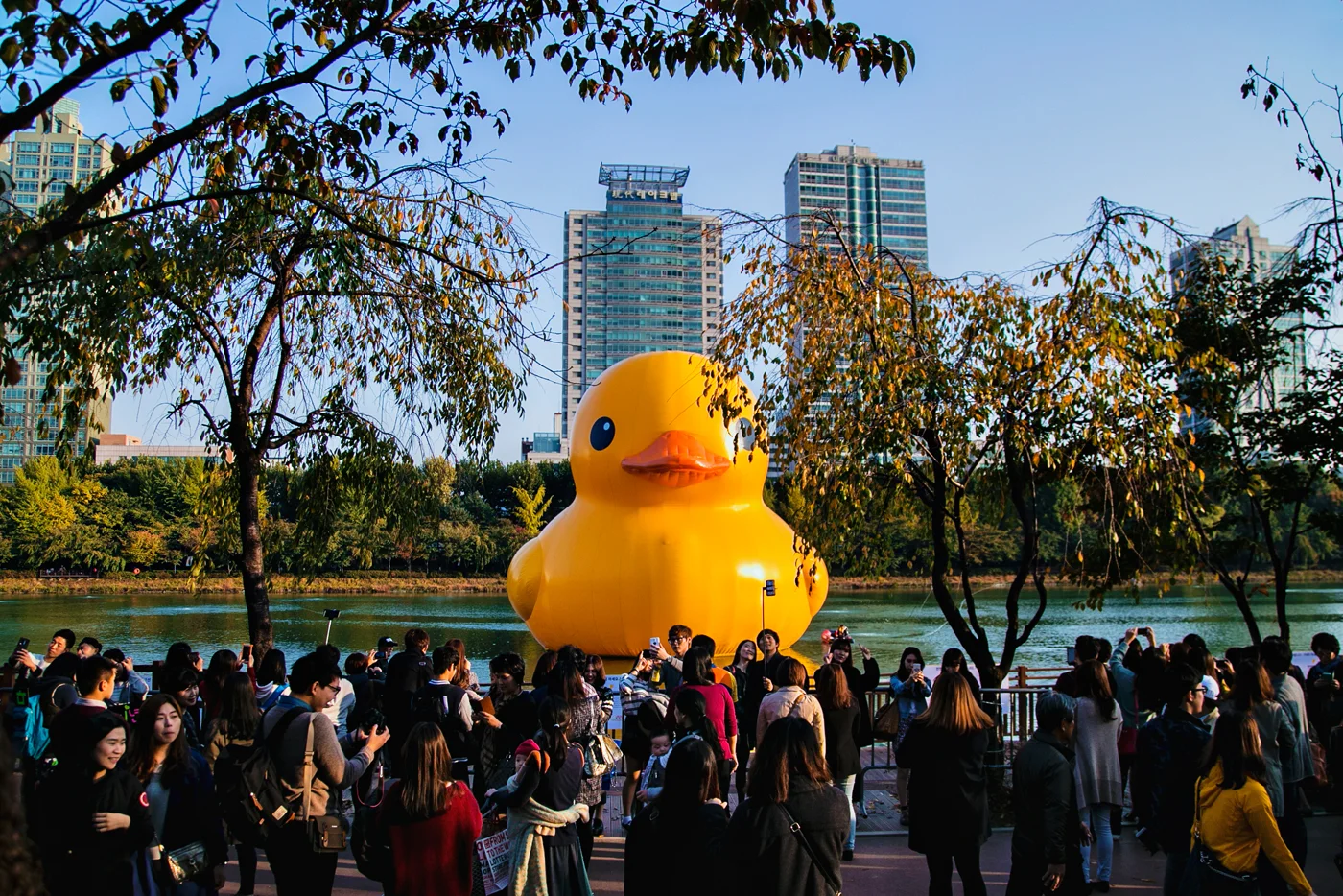 RubberDuckProject06.jpg