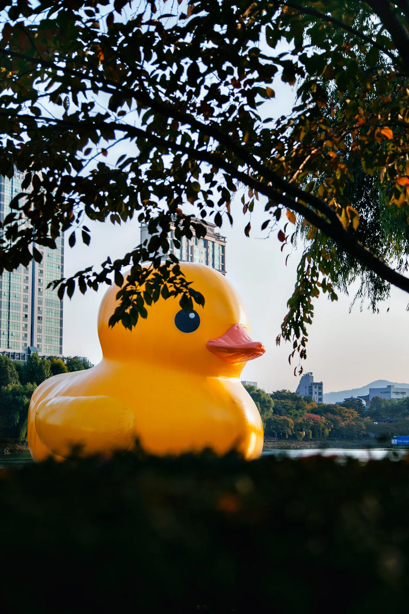 RubberDuckProject09.jpg