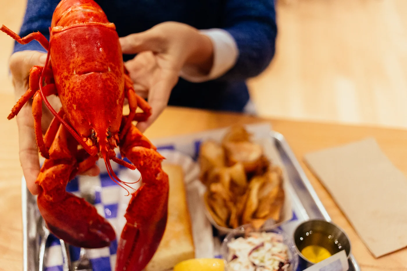 NewEnglandLobster08.jpg