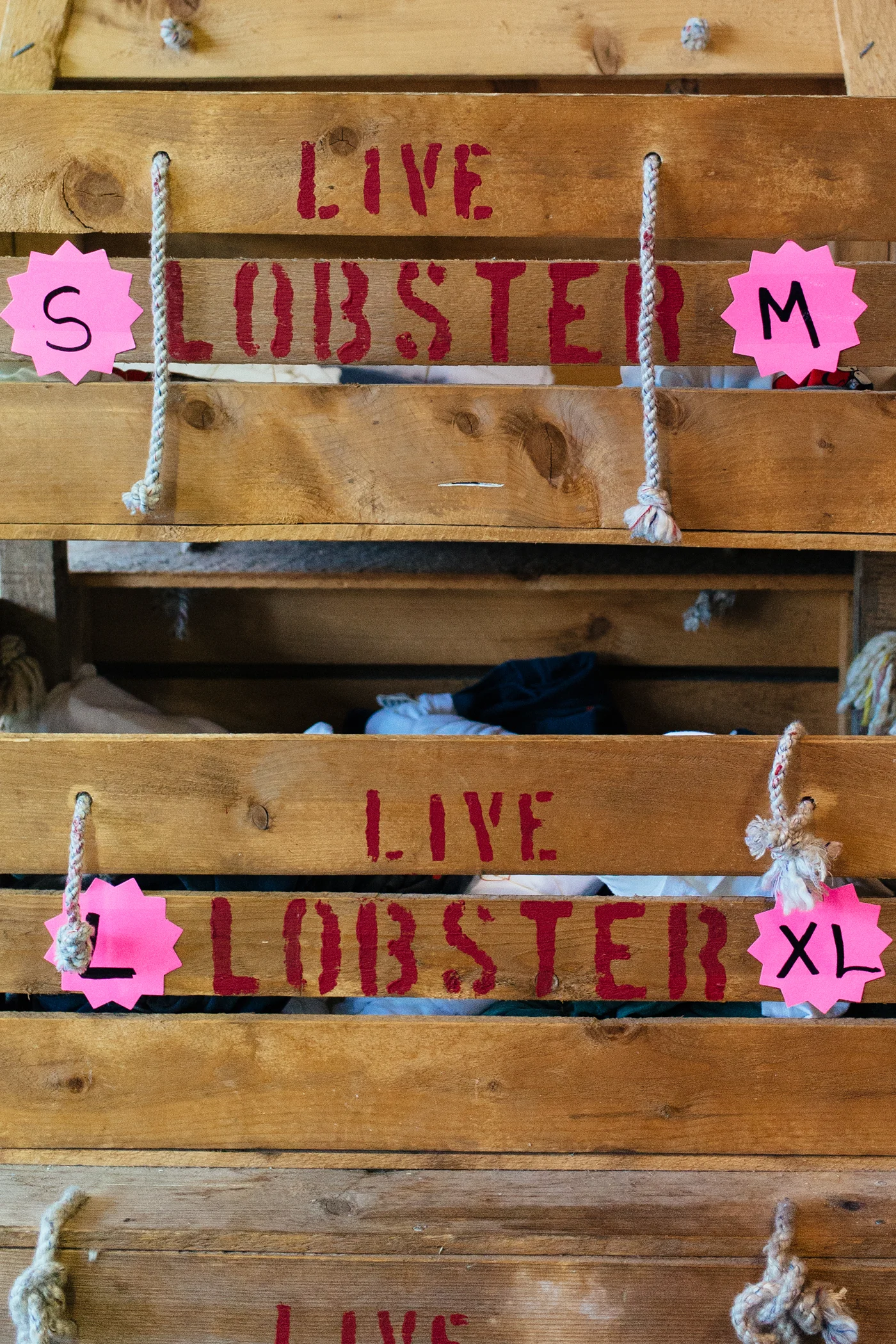 NewEnglandLobster11.jpg