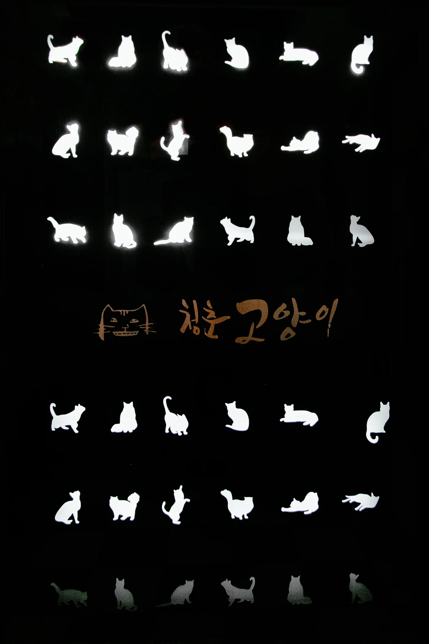 ChongChunCatCafe19.jpeg