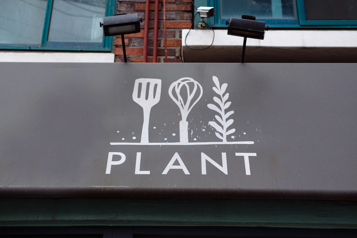 Plant02.jpg
