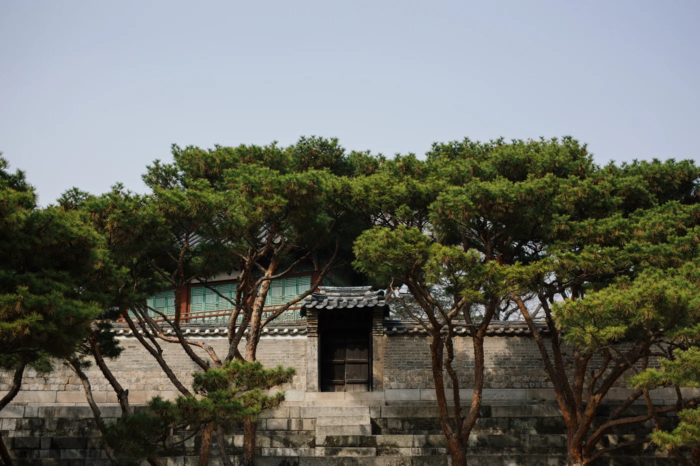 WWIM11Seoul18.jpg