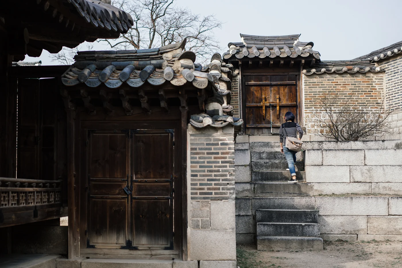 WWIM11Seoul25.jpg