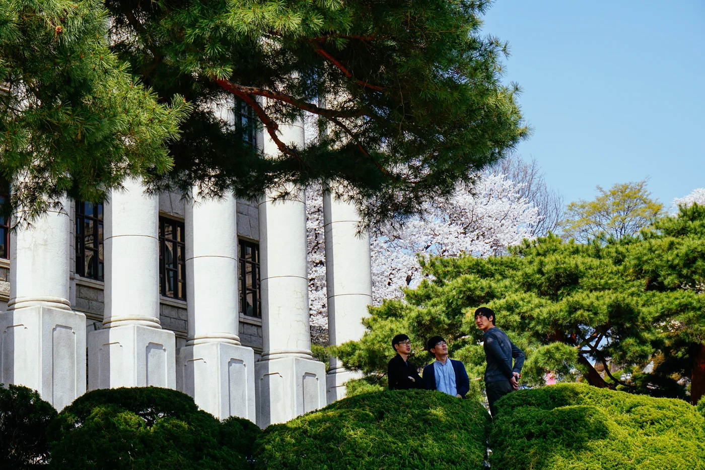 Spring in Seoul: Kyunghee University (경희대학교) in Seoul, South Korea.