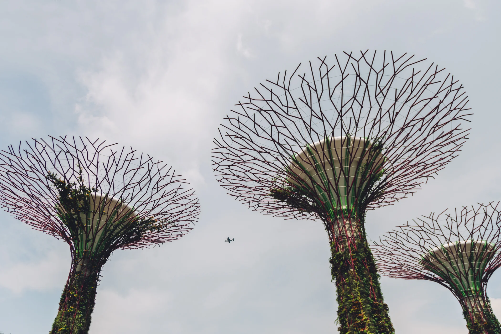 Greysuitcase Travel Diary: Supertree Grove, Gardens by the Bay, Singapore.
