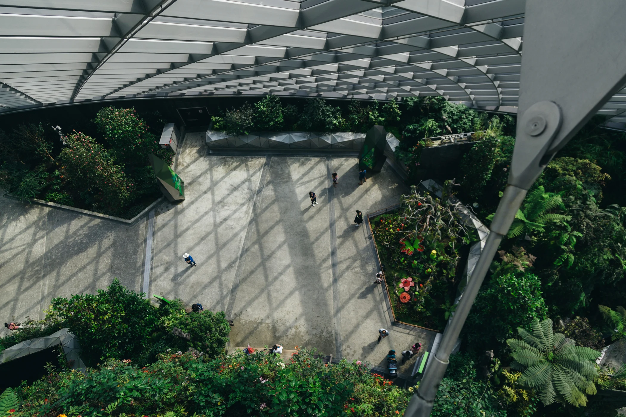 Greysuitcase Singapore Travel Diary: Cloud Forest, Gardens by the Bay, Singapore.
