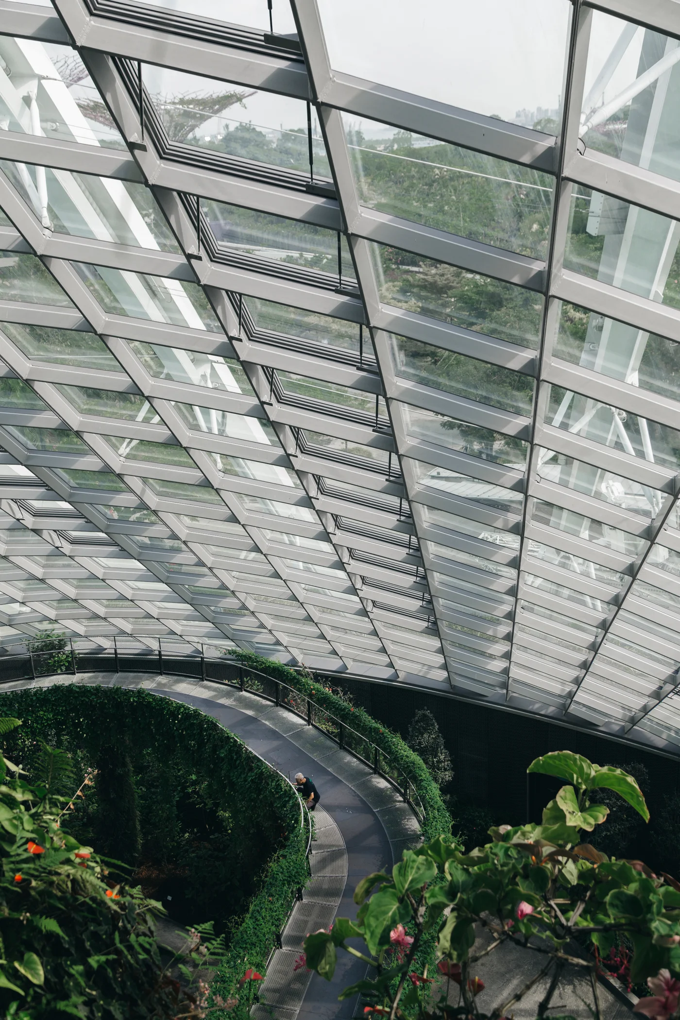 Greysuitcase Singapore Travel Diary: Cloud Forest, Gardens by the Bay, Singapore.