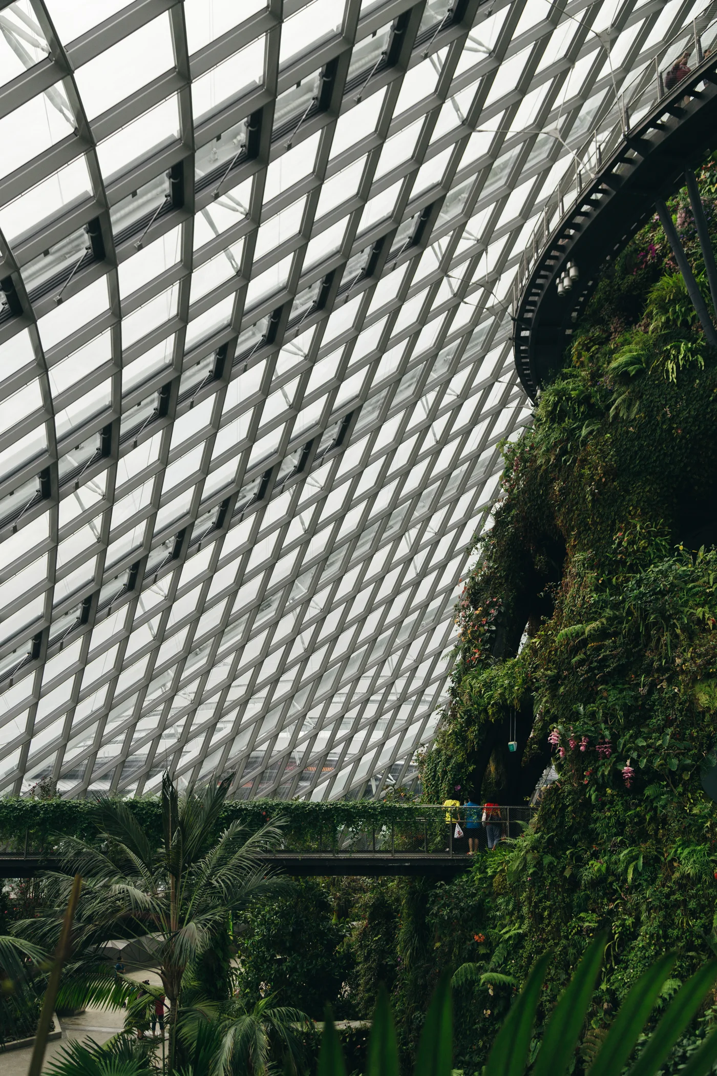 Greysuitcase Singapore Travel Diary: Cloud Forest, Gardens by the Bay, Singapore.