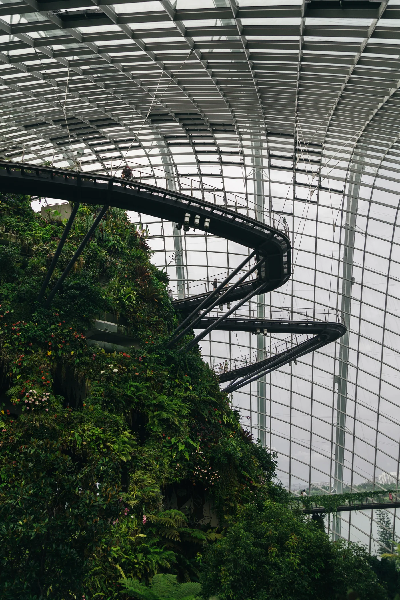 Greysuitcase Singapore Travel Diary: Cloud Forest, Gardens by the Bay, Singapore.