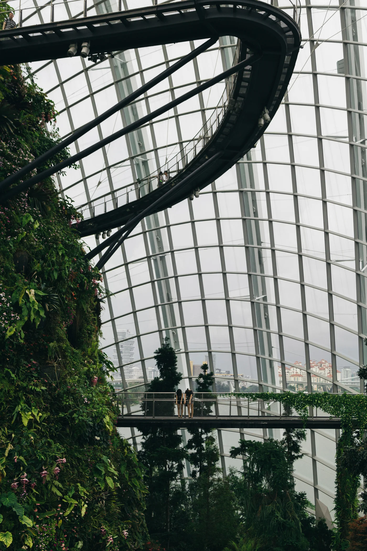 Greysuitcase Singapore Travel Diary: Cloud Forest, Gardens by the Bay, Singapore.