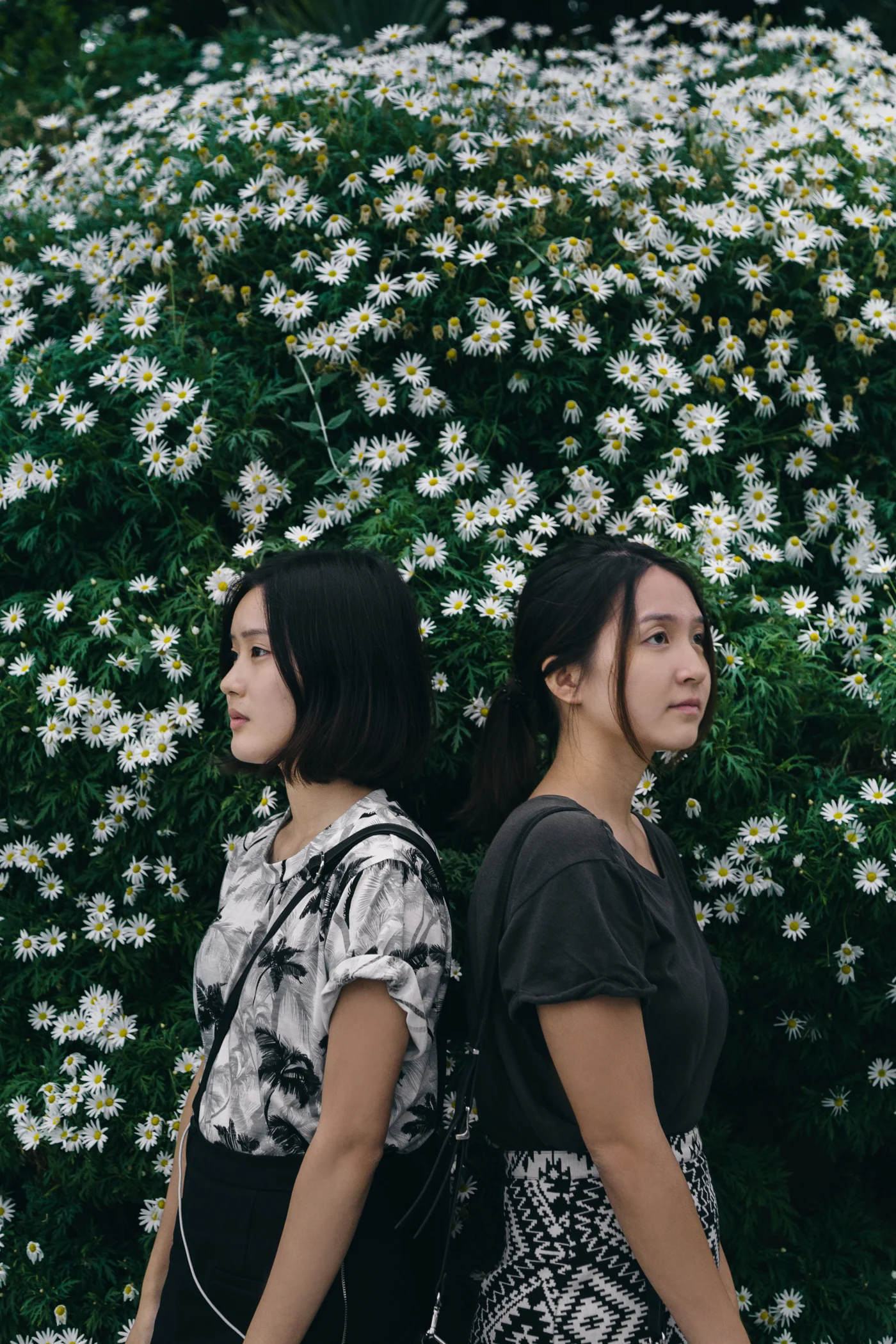Greysuitcase Singapore Travel Diary: Flower Dome, Gardens by the Bay, Singapore.