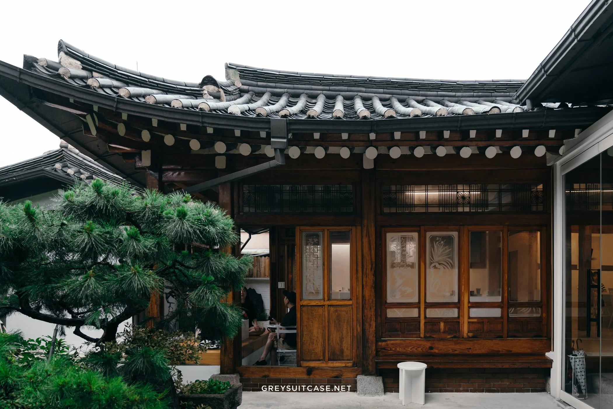Bear Café • 베어카페
