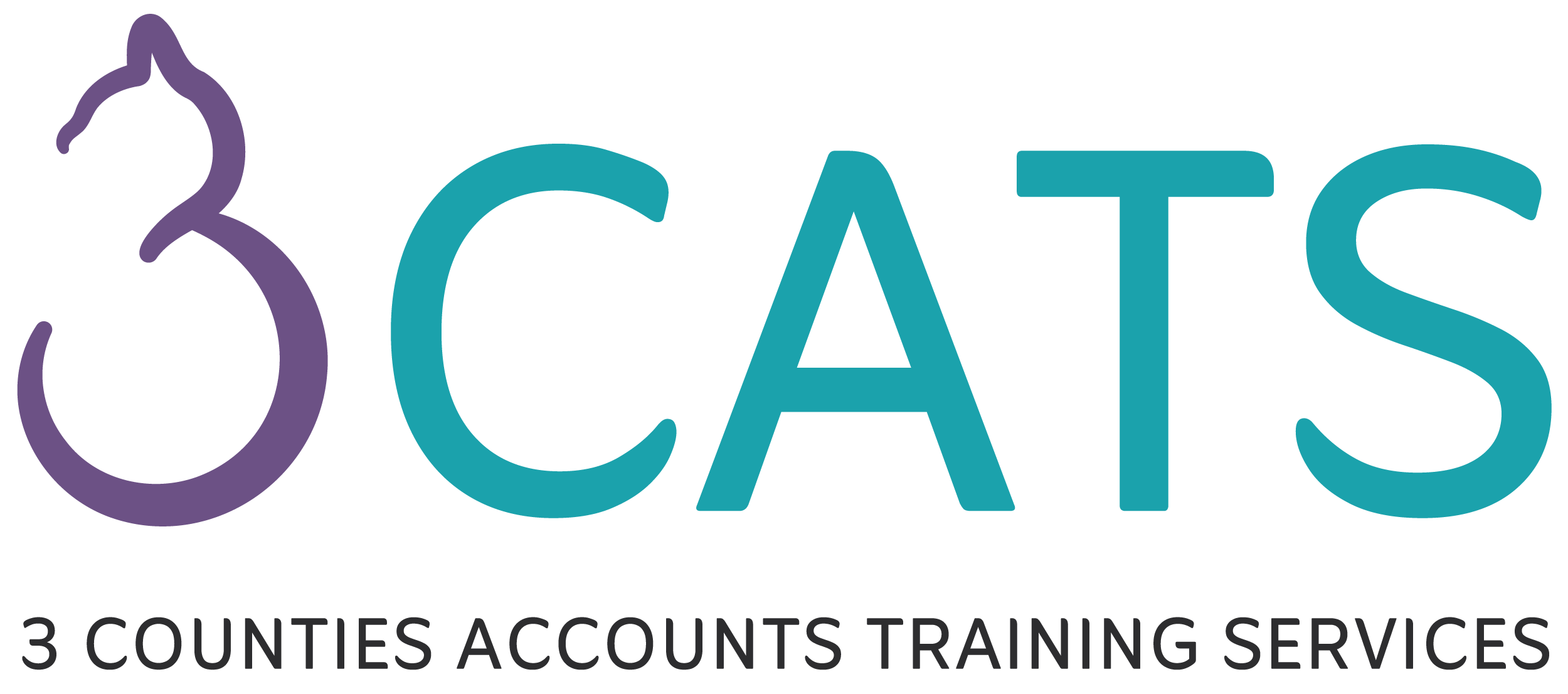 3CATS logo with 3 COUNTIES ACCOUNTS TRAINING SERVICE written underneath