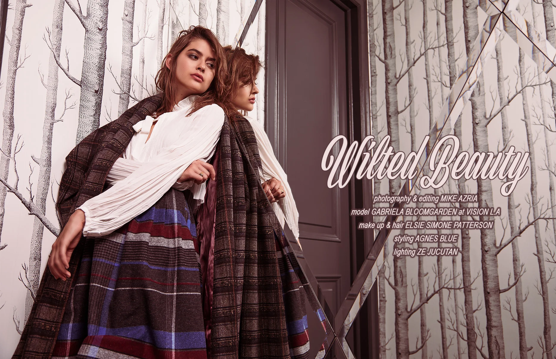 FALL COVER .jpg
