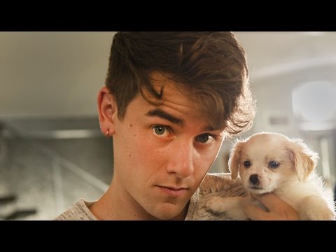 #Pixel: Puppies! by Connor Franta, Phone by Google