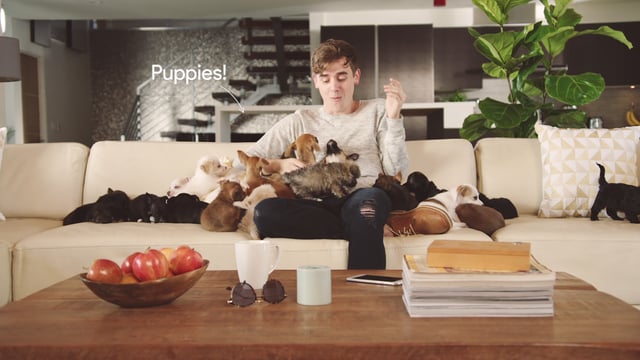 #Pixel: Puppies! by Connor Franta, Phone by Google — :30 Sec