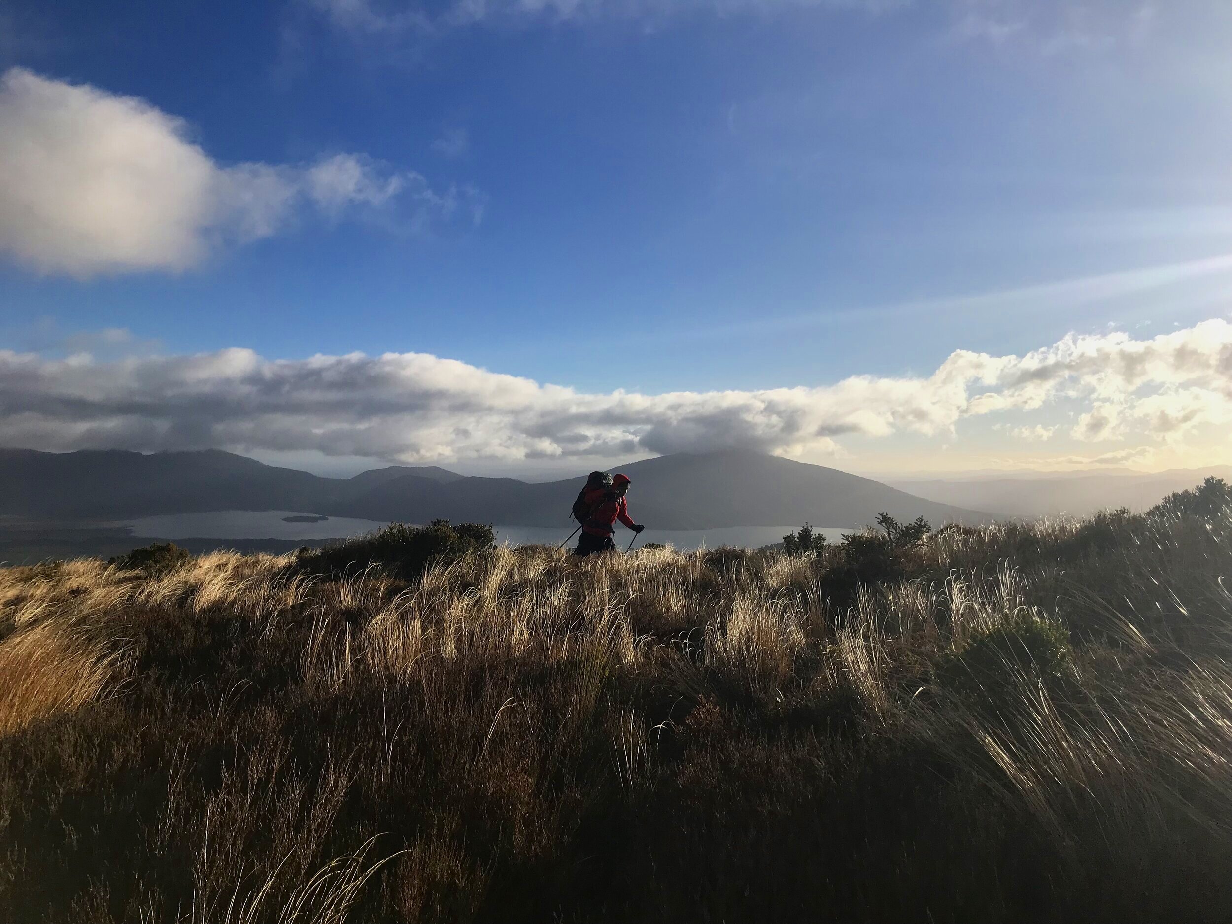 Simon hiking through New Zealand.