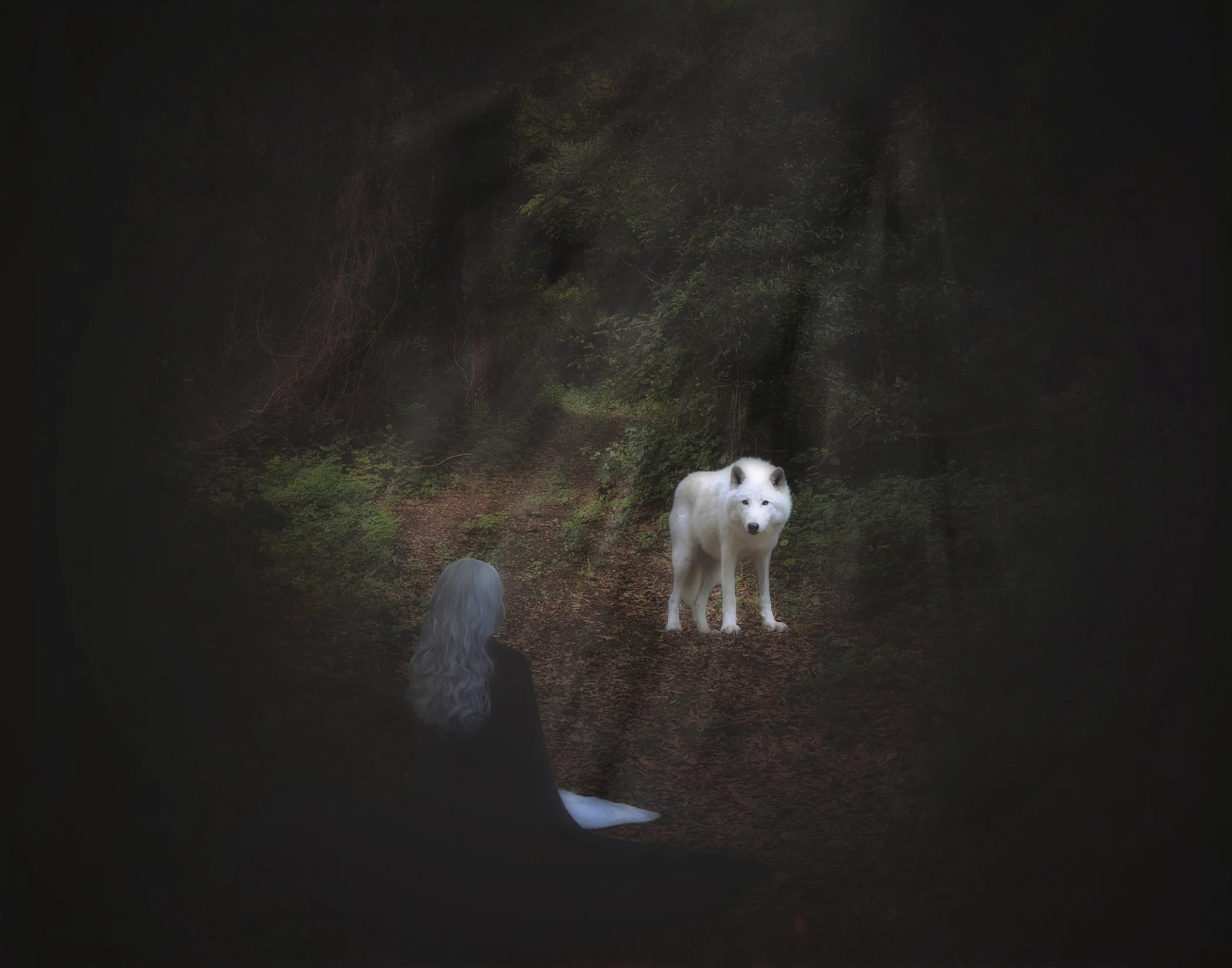 In the Company of Wolves {30/52}