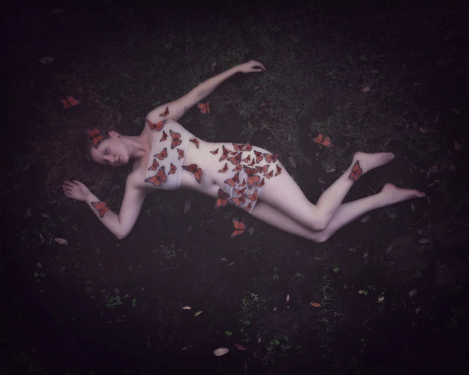 Metamorphosis {40/52}