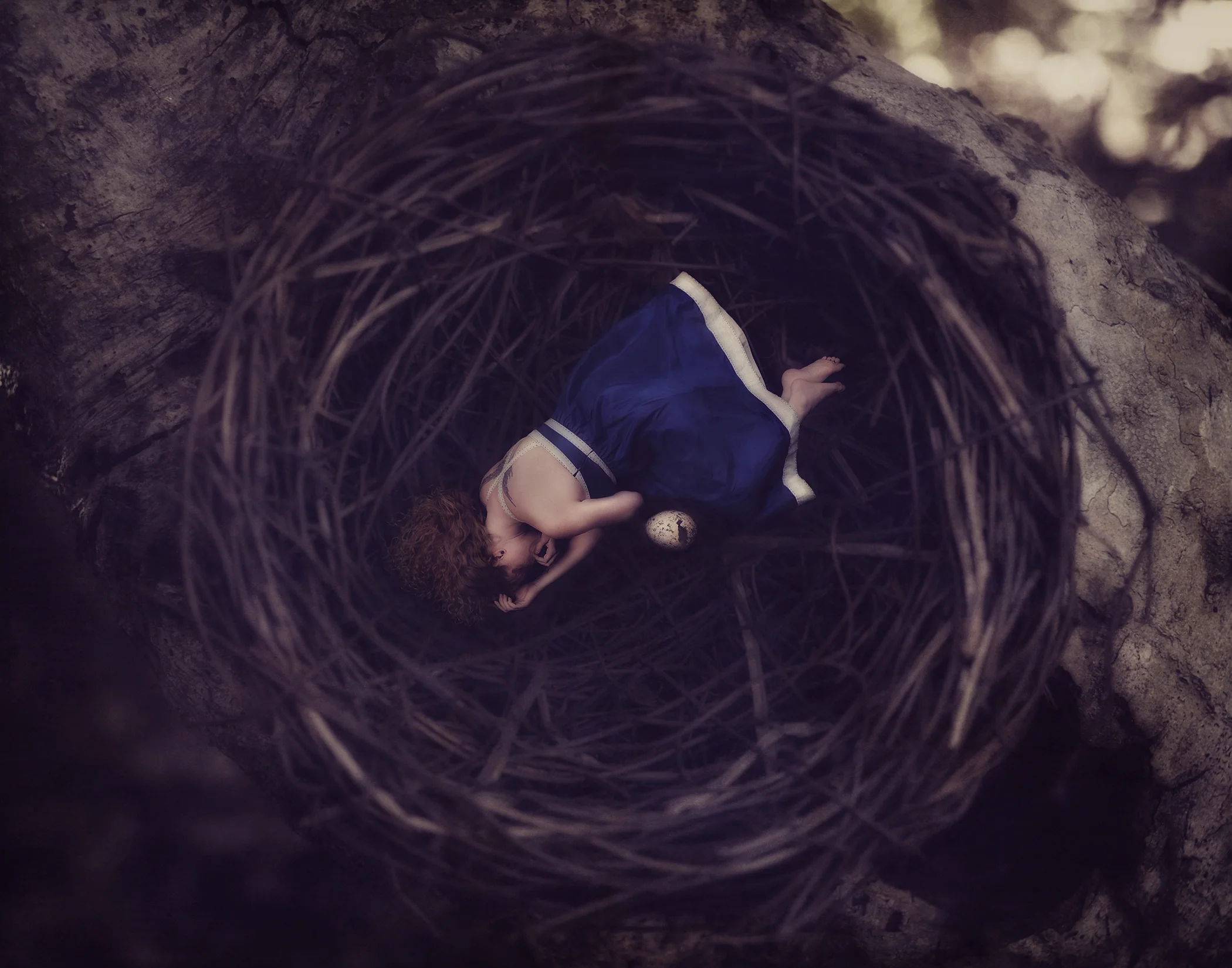 Broken Dreams {41/52}