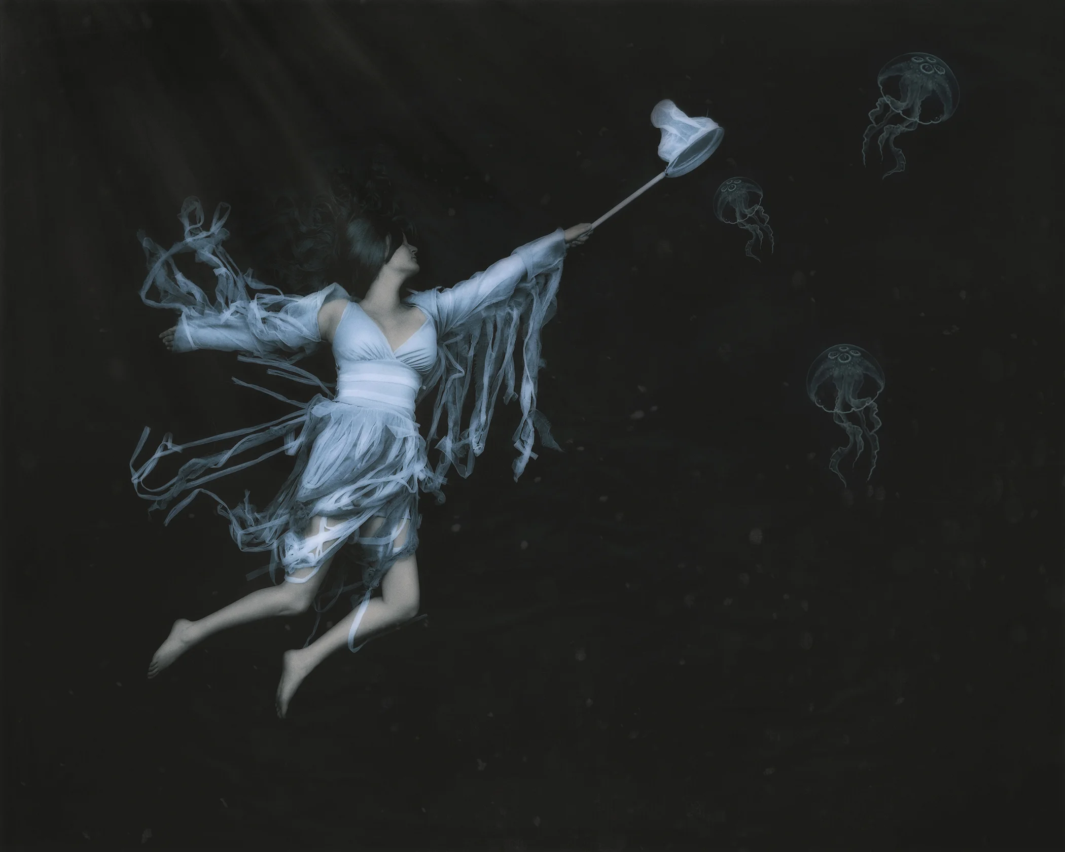 Illumination {43/52}