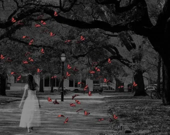 "Butterfly Whisperer"