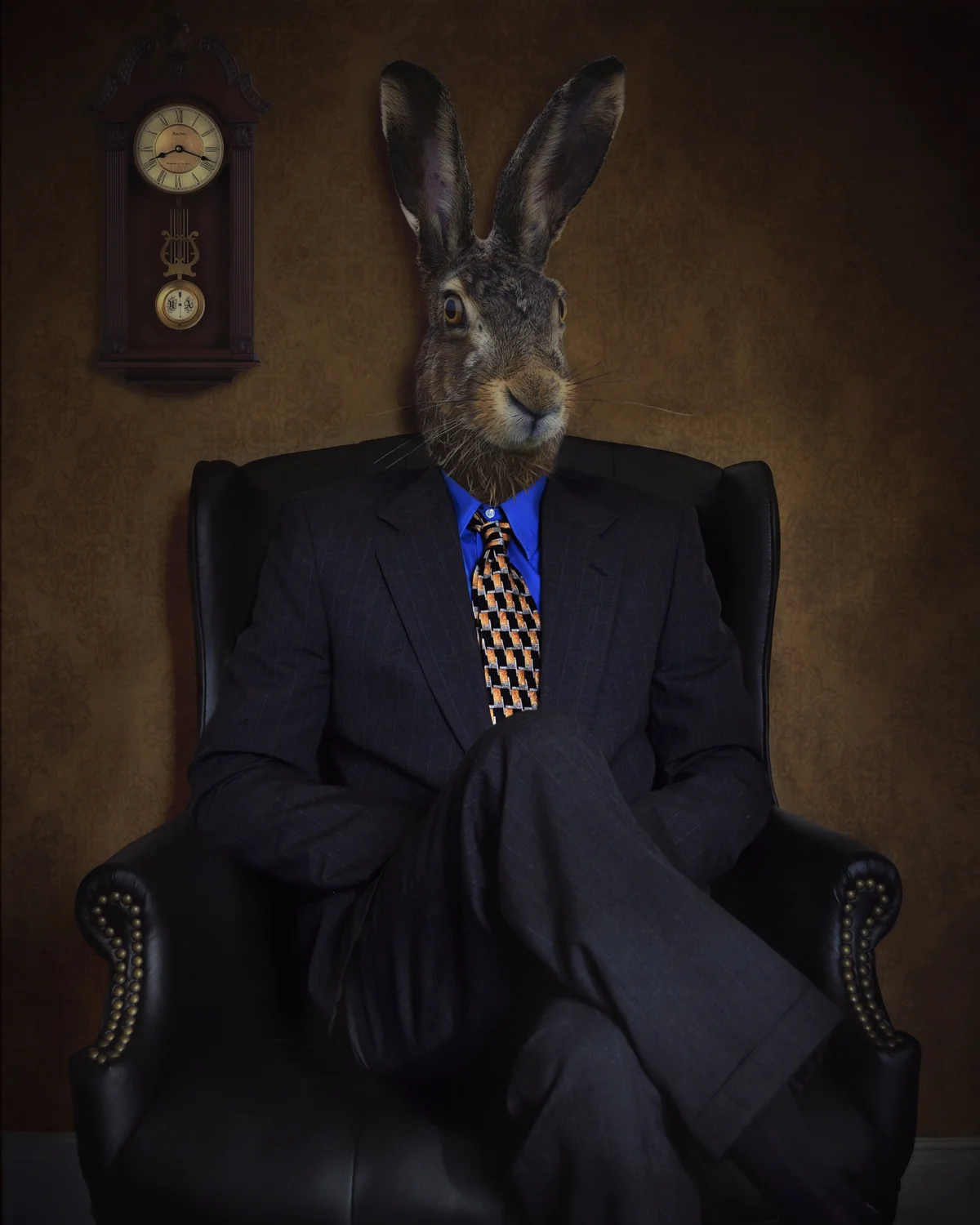 New Image—New Series!