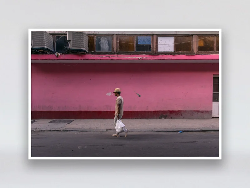 ©_Bruno_On_Pink_The_Virtue.jpg
