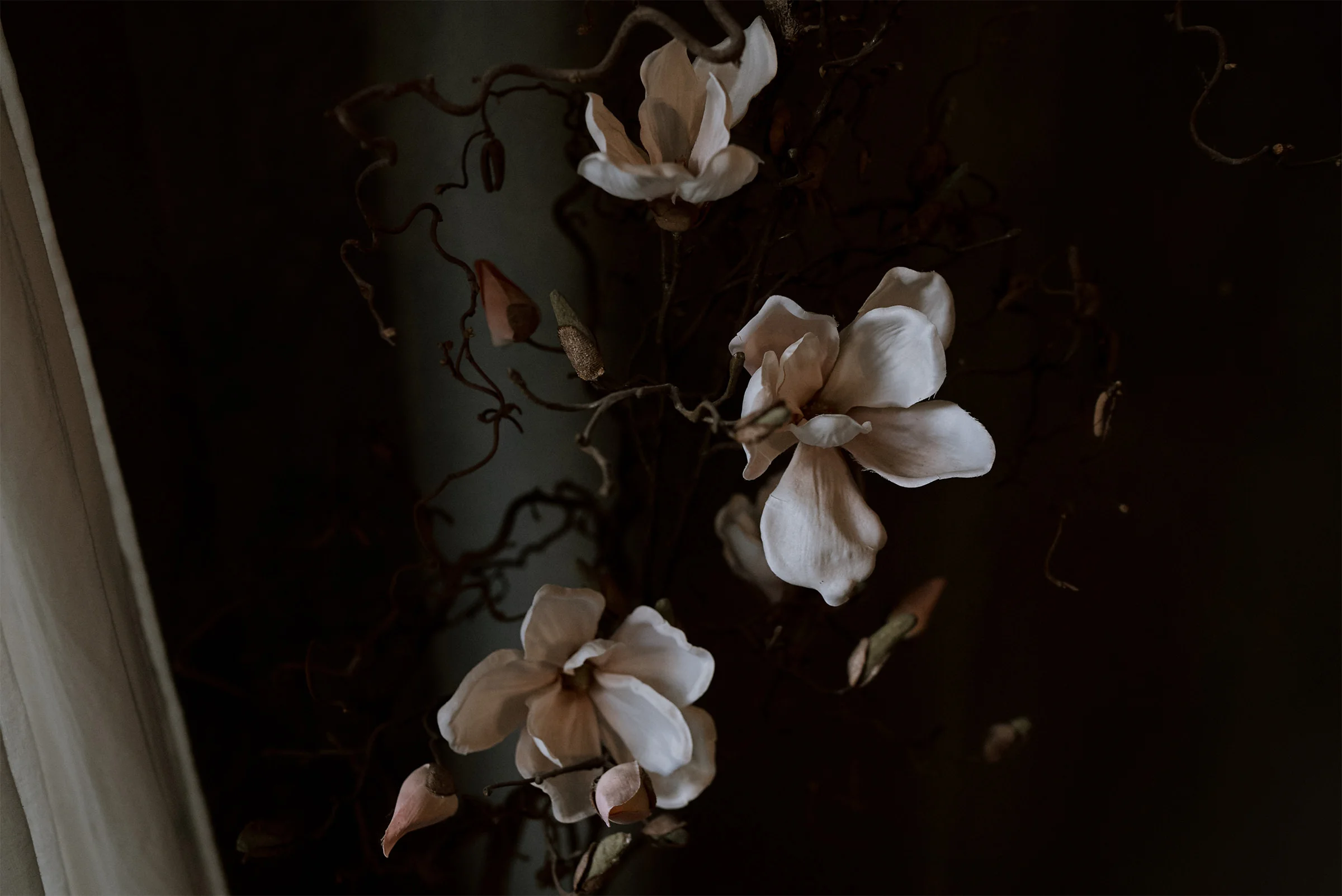 Muse&Mirror_5.jpg