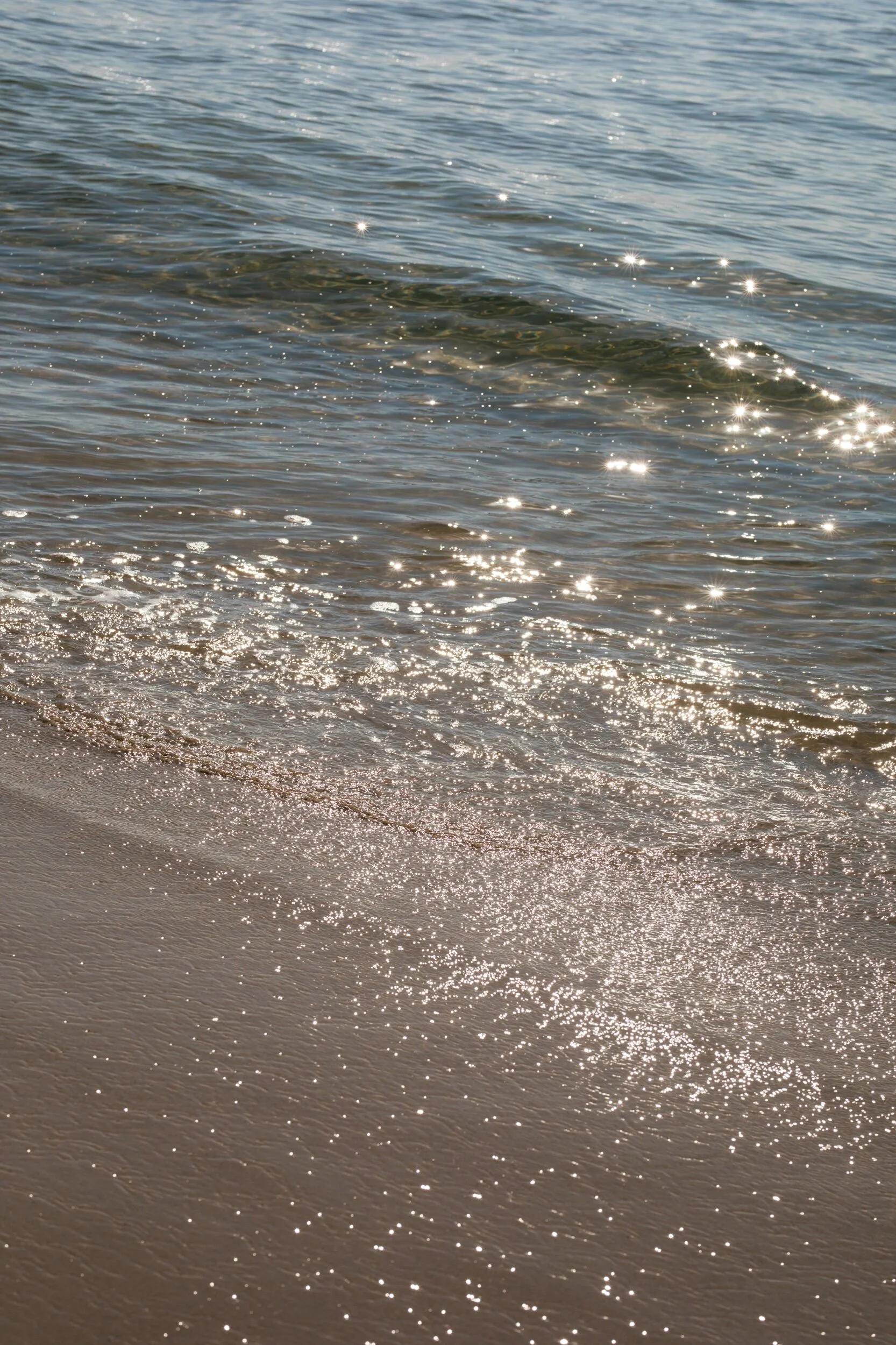 82532549-DD6E-432F-83A8-4A8E4D7E8A8C