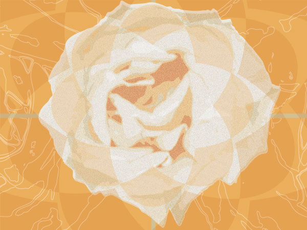 Rose_is-_a-Rose_16x12_Or_5.jpg