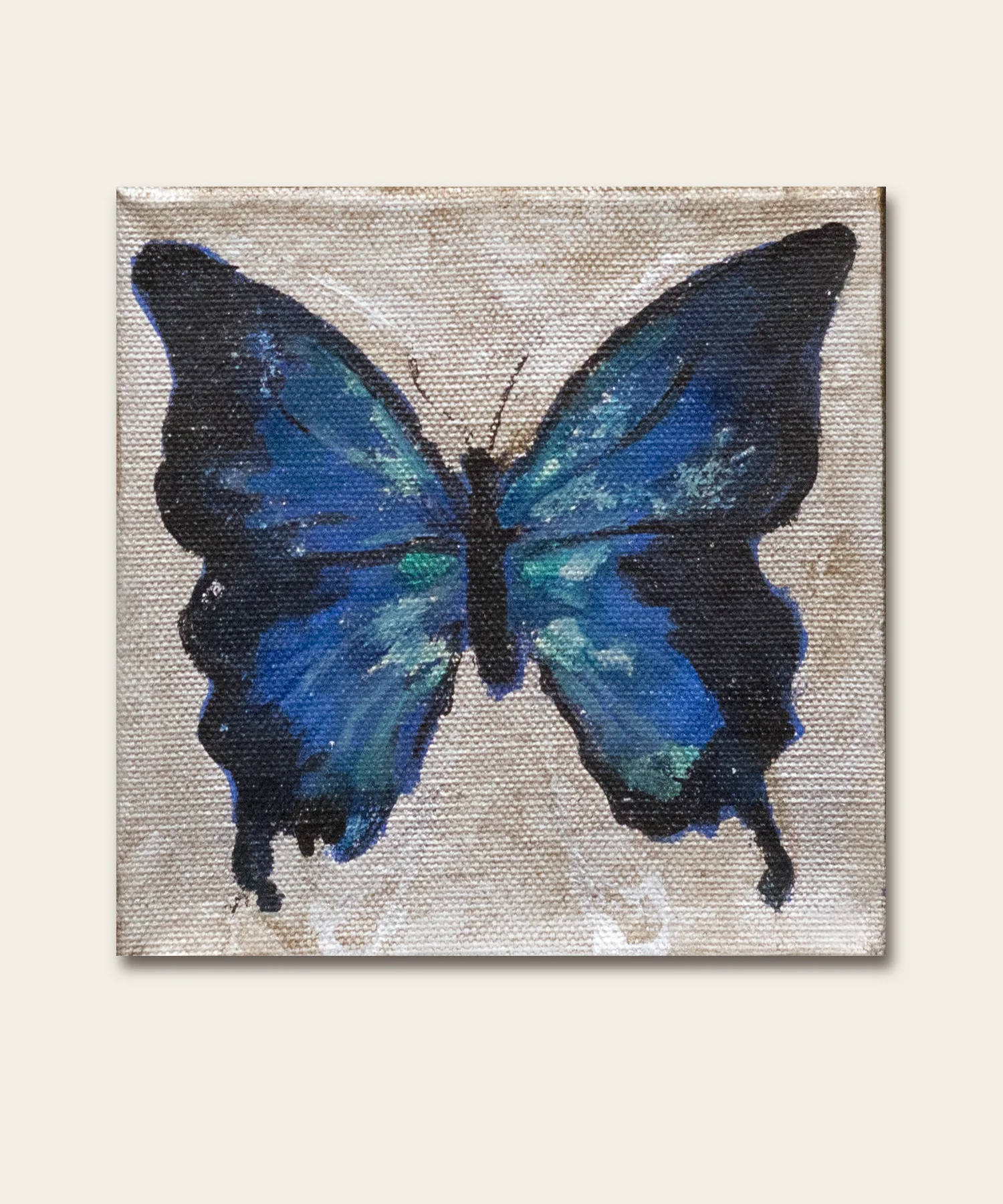 Diminuto, Blue Emperor 