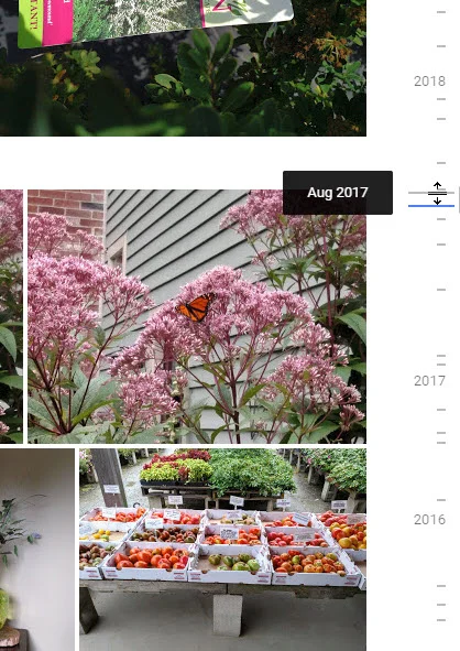 Documenting Change in the Garden