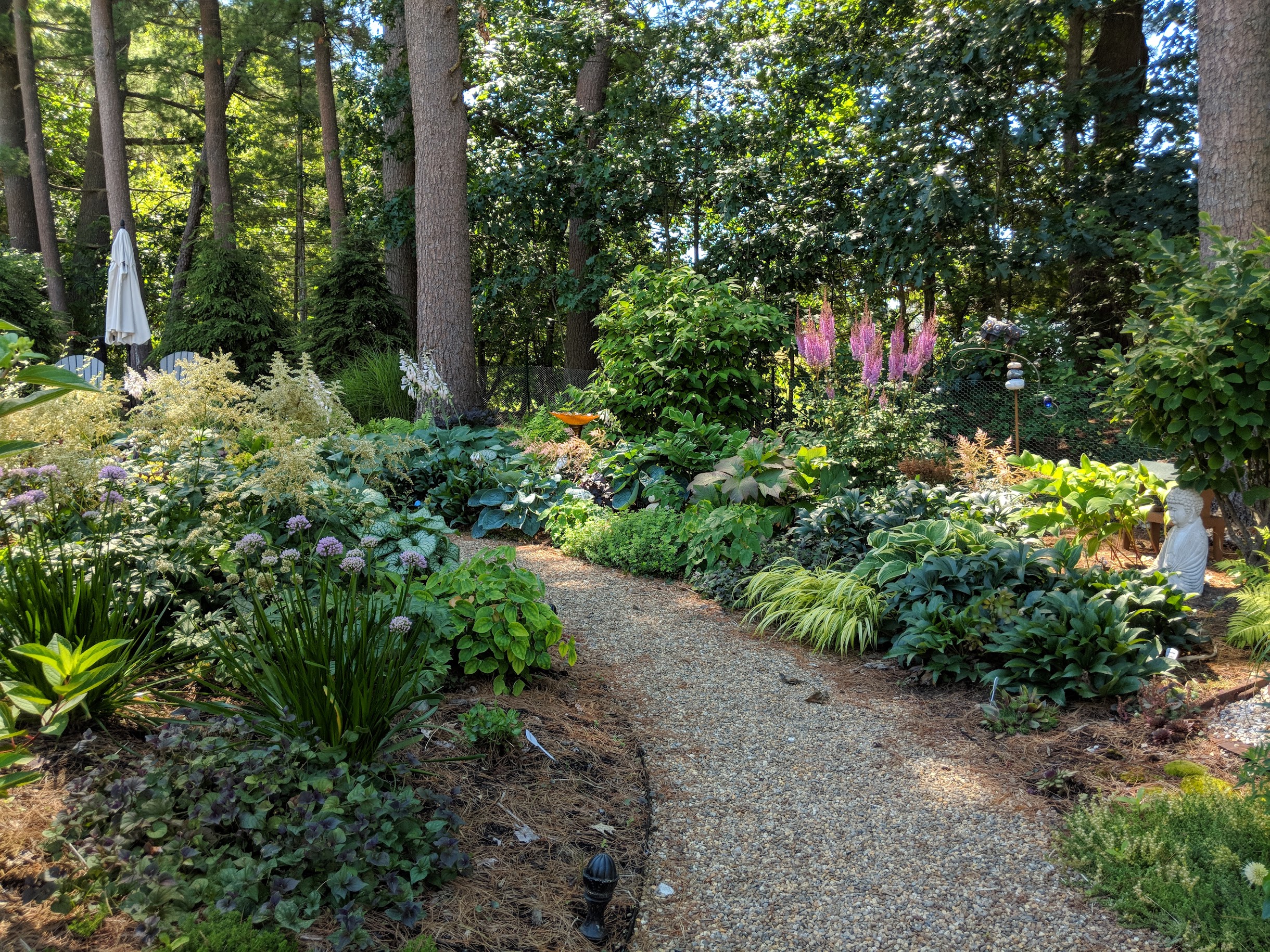 2018-07-20-v-collins-back-path.jpg