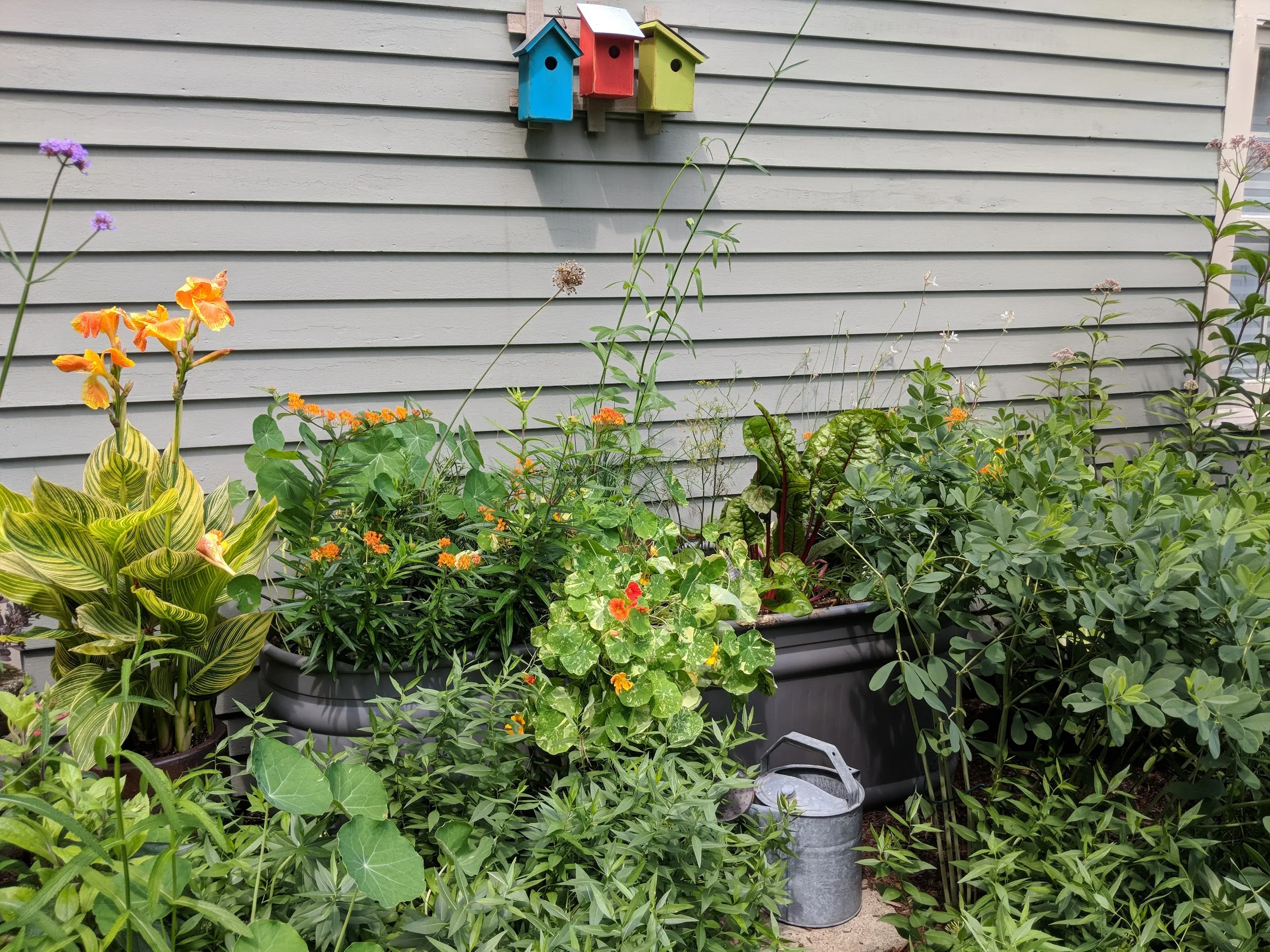 2018-07-30-horse-trough-garden.jpg