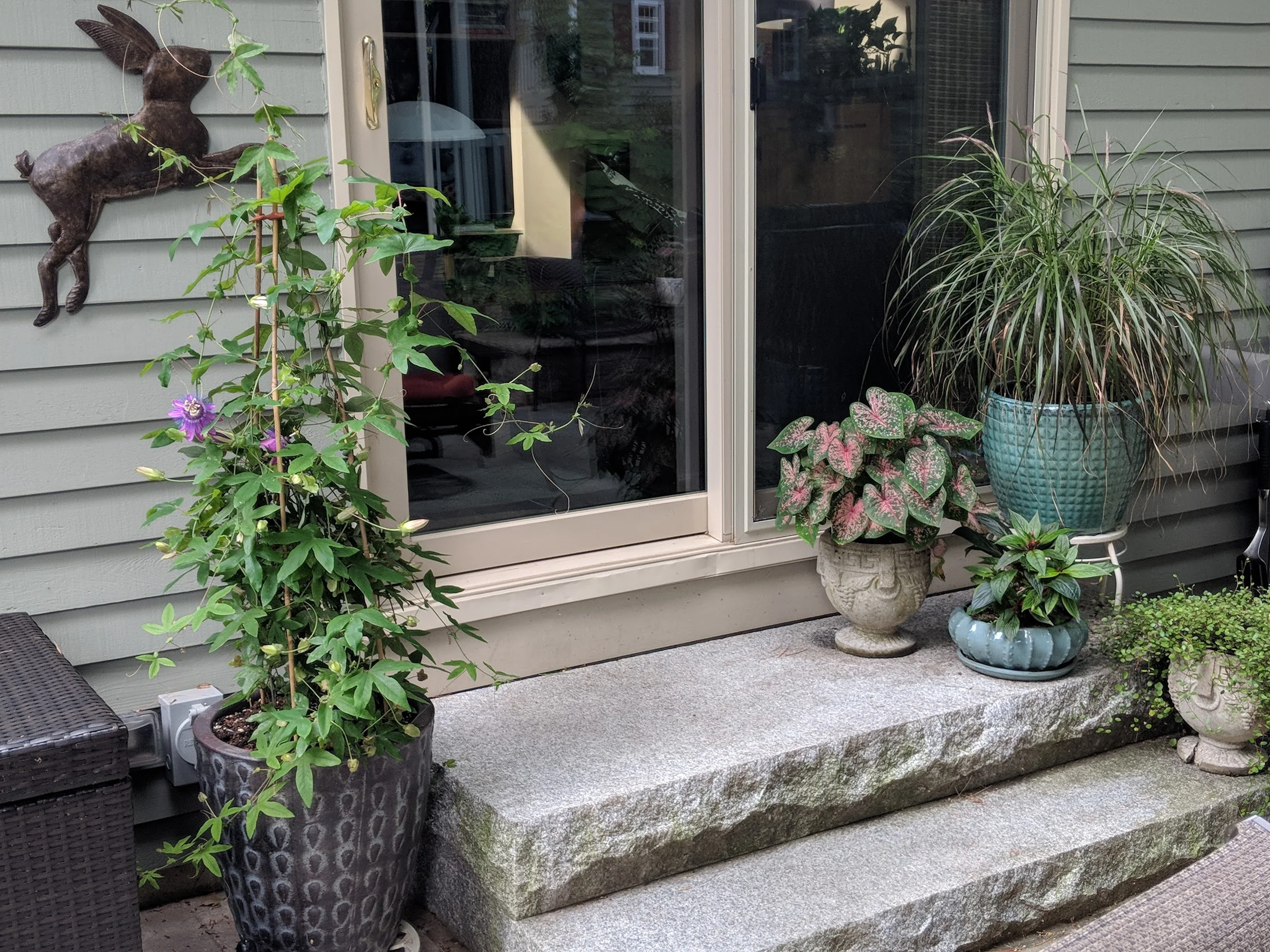2018-07-30-containers-back-steps.jpg