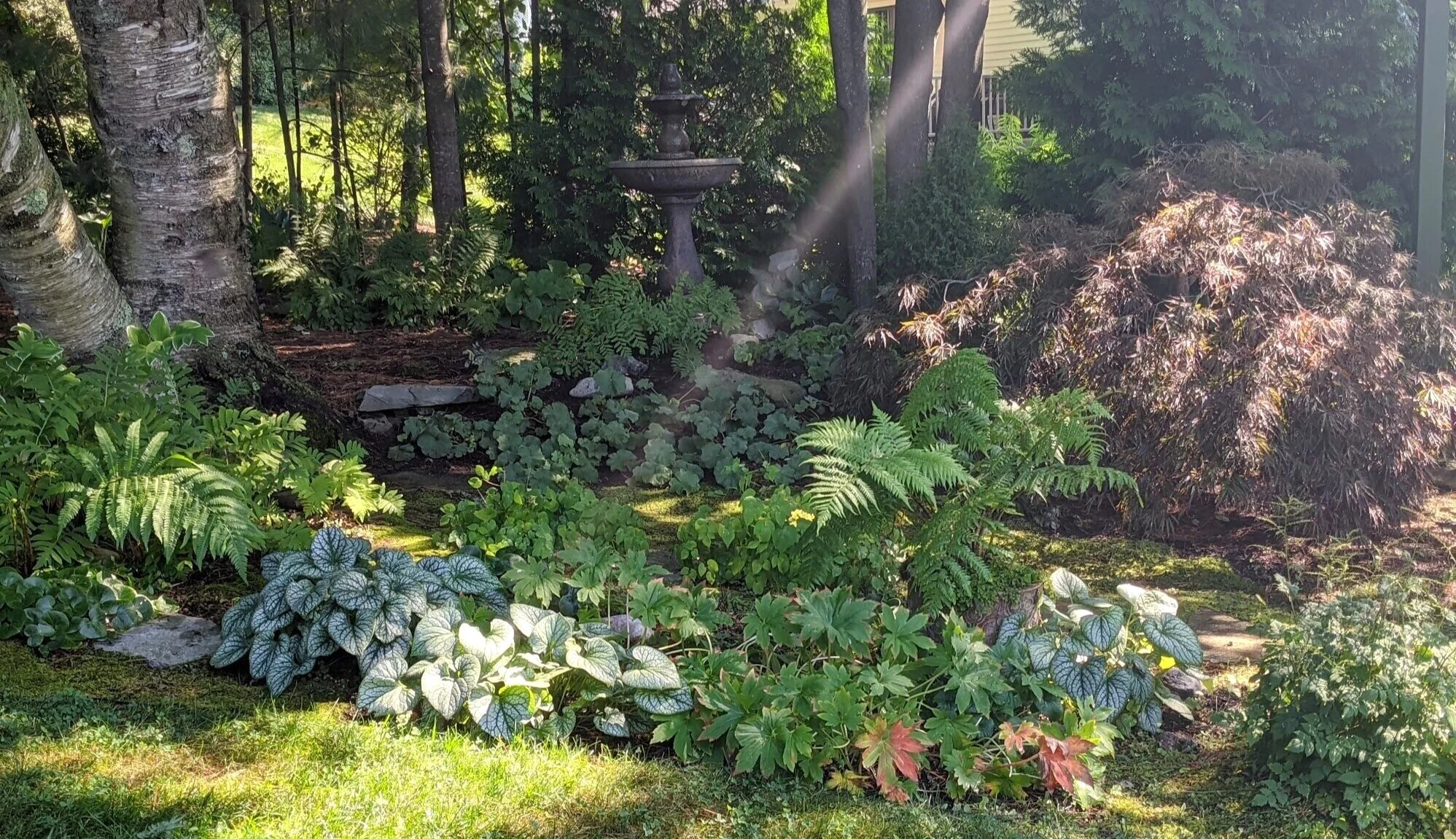 Shade Gardening | The Big Little Garden | Nashua, NH