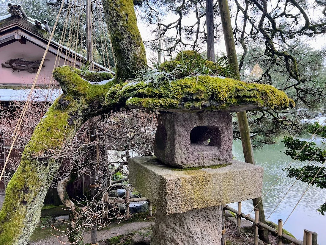 Magical, Mystical Moss