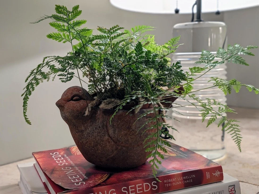 six acts of garden love for this week
