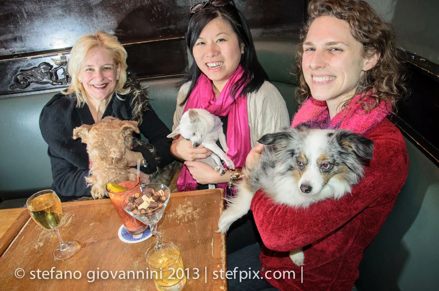 2nd Annual Yappy Valentine