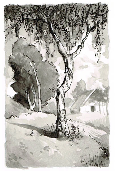 CountryTree.jpg