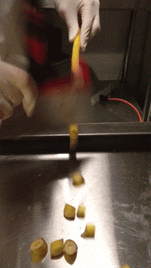 RaleysChop.gif