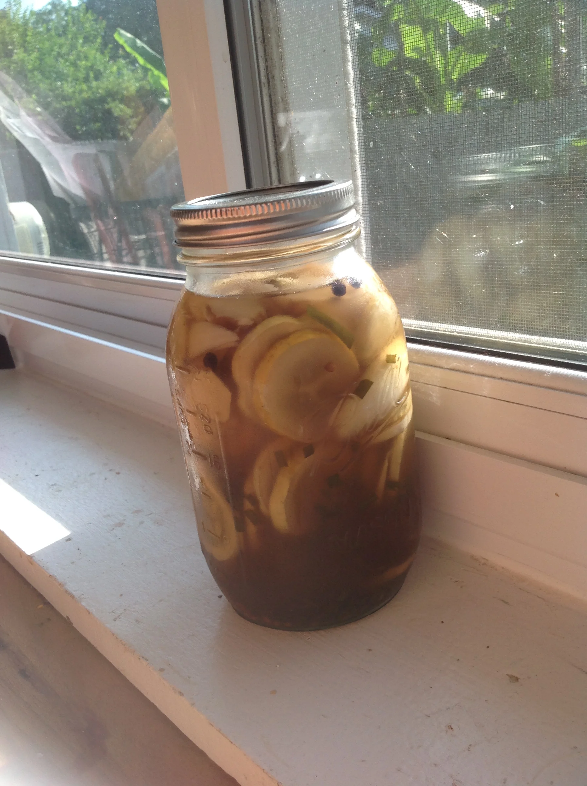 2014-06-05 09.02.49.jpg