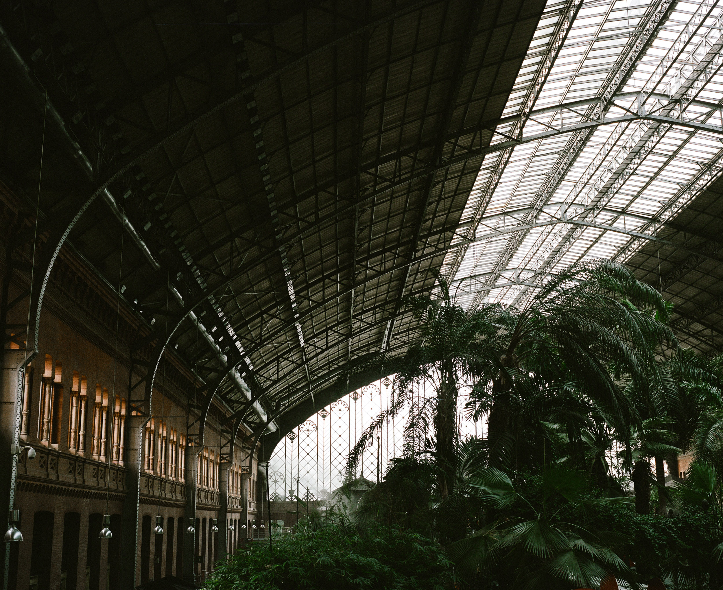 Train Station in Madrid, Palm trees, Glass roof